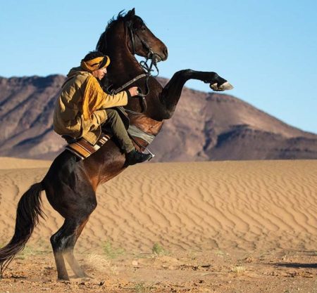Equitazione