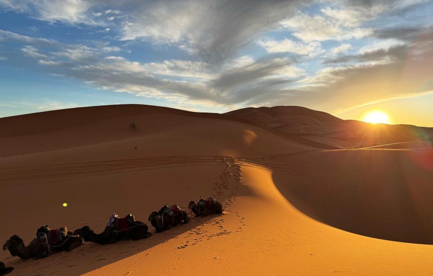 Offerta speciale 5 giorni da marrakech al deserto – partenze giornaliere