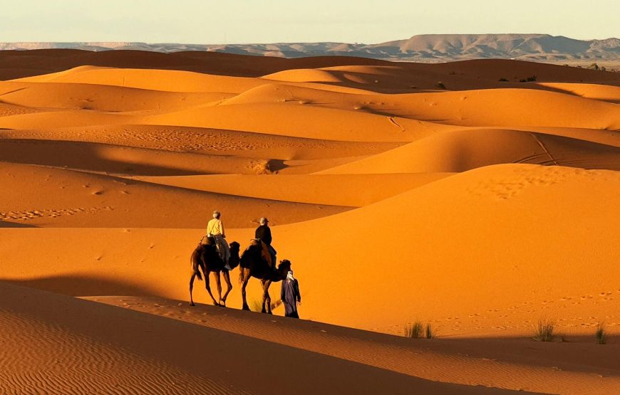 Offerta speciale 5 giorni da marrakech al deserto – partenze giornaliere